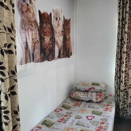 Cabană Casa Raraului