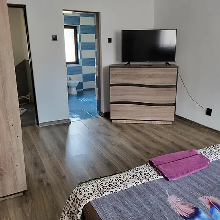 Cabană Casa Raraului *